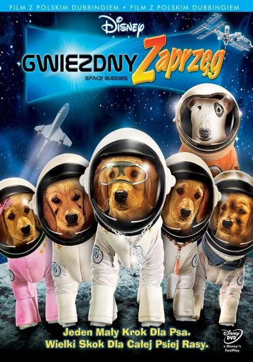 【科幻片】太空犬